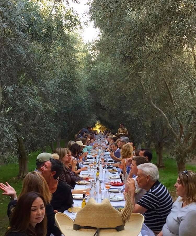 Plated Lunch in the Olive Grove Saturday February 15th, 2025
