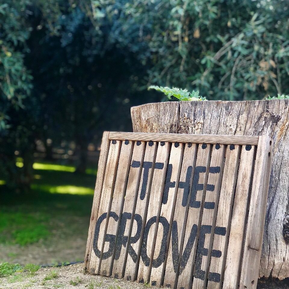 Olive View Ranch Tour Ticket - Saturday May 21, 2022-0