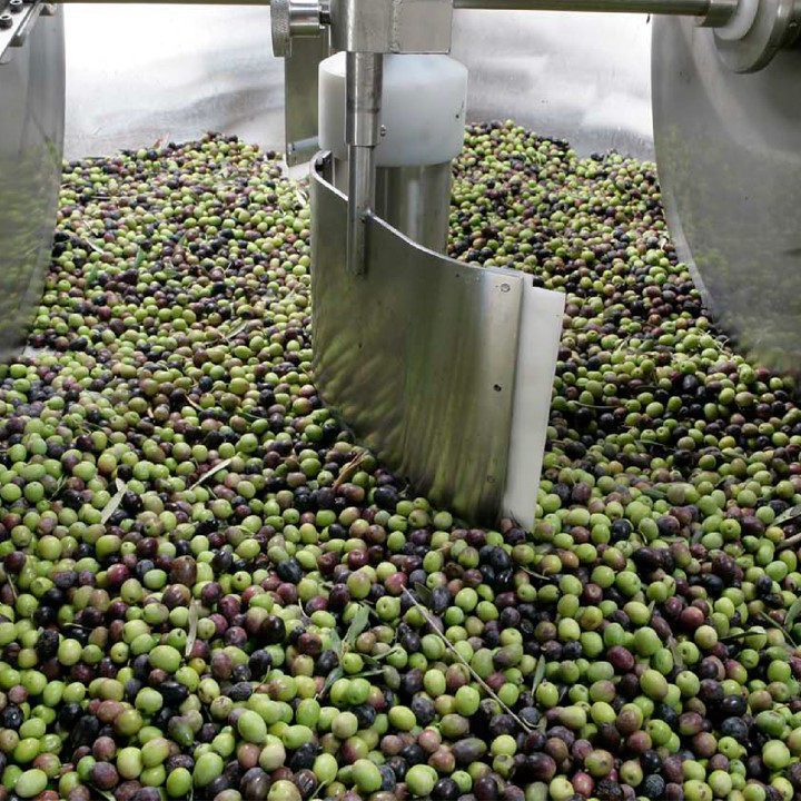 Harvest Festival 2021