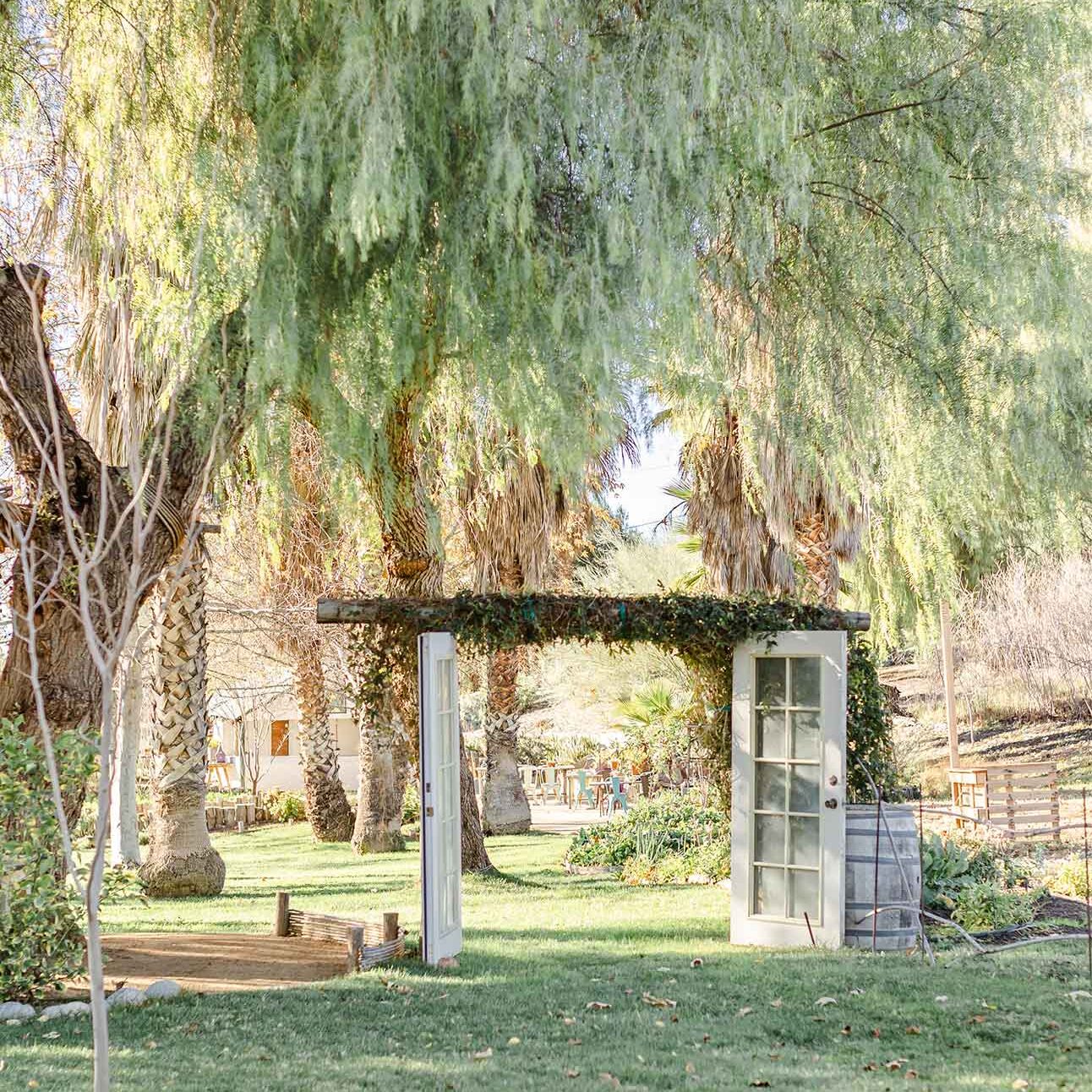 Welcome to Olive View Ranch