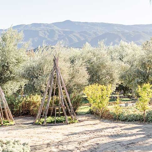 Kai-Zen Agricultural Practives