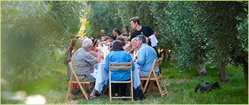 Olive View Ranch Events