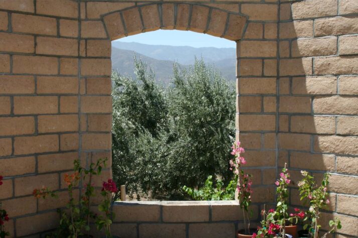 Window to the Olive Groves Olive View Ranch