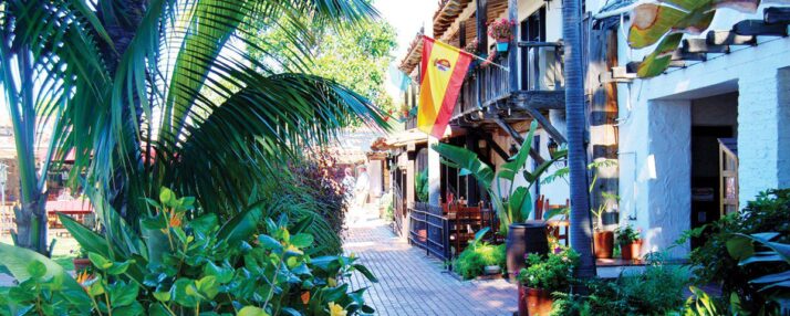 tooc-sandiegoshop1-1200×480