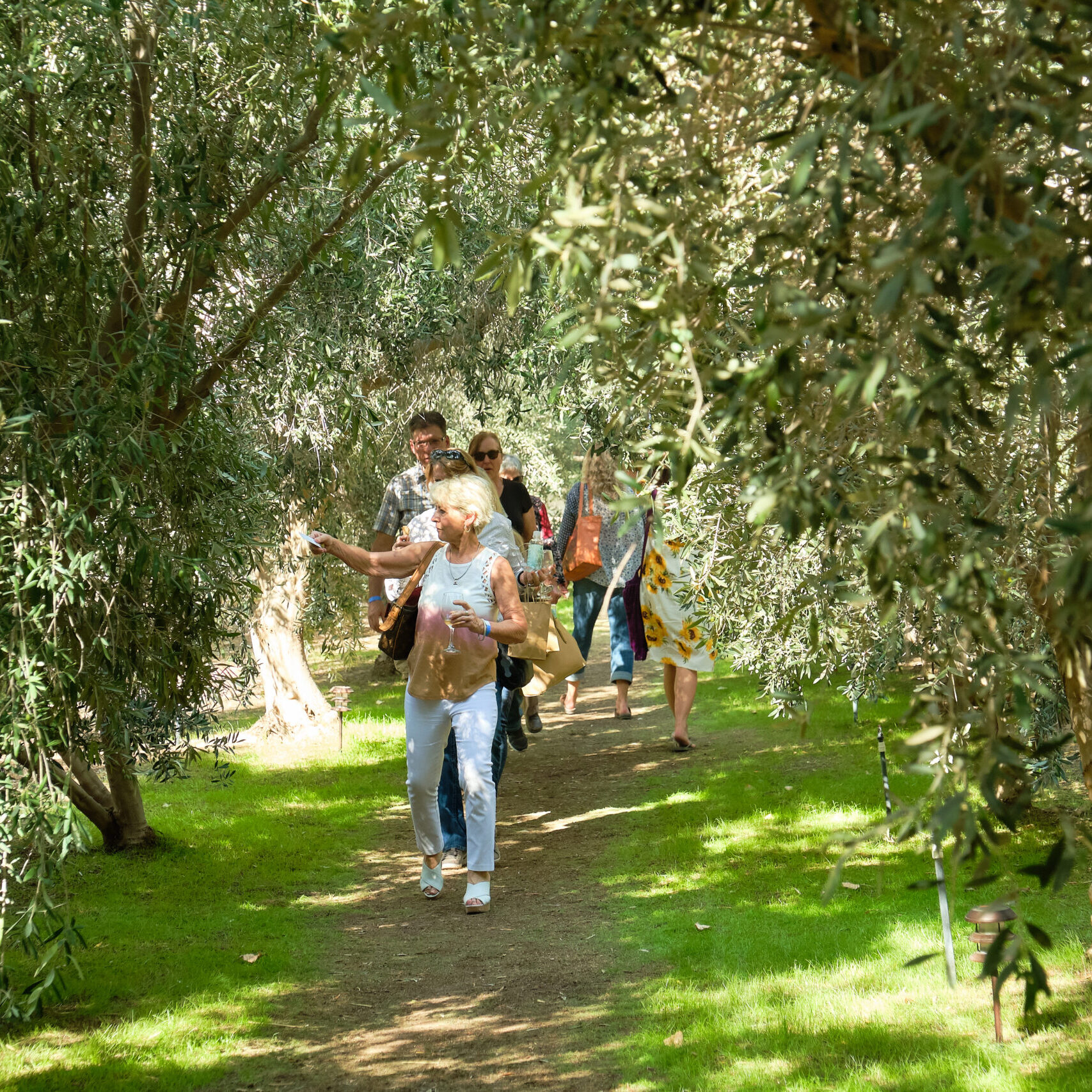 Olive Ranch Tour Olive Ranch Tour