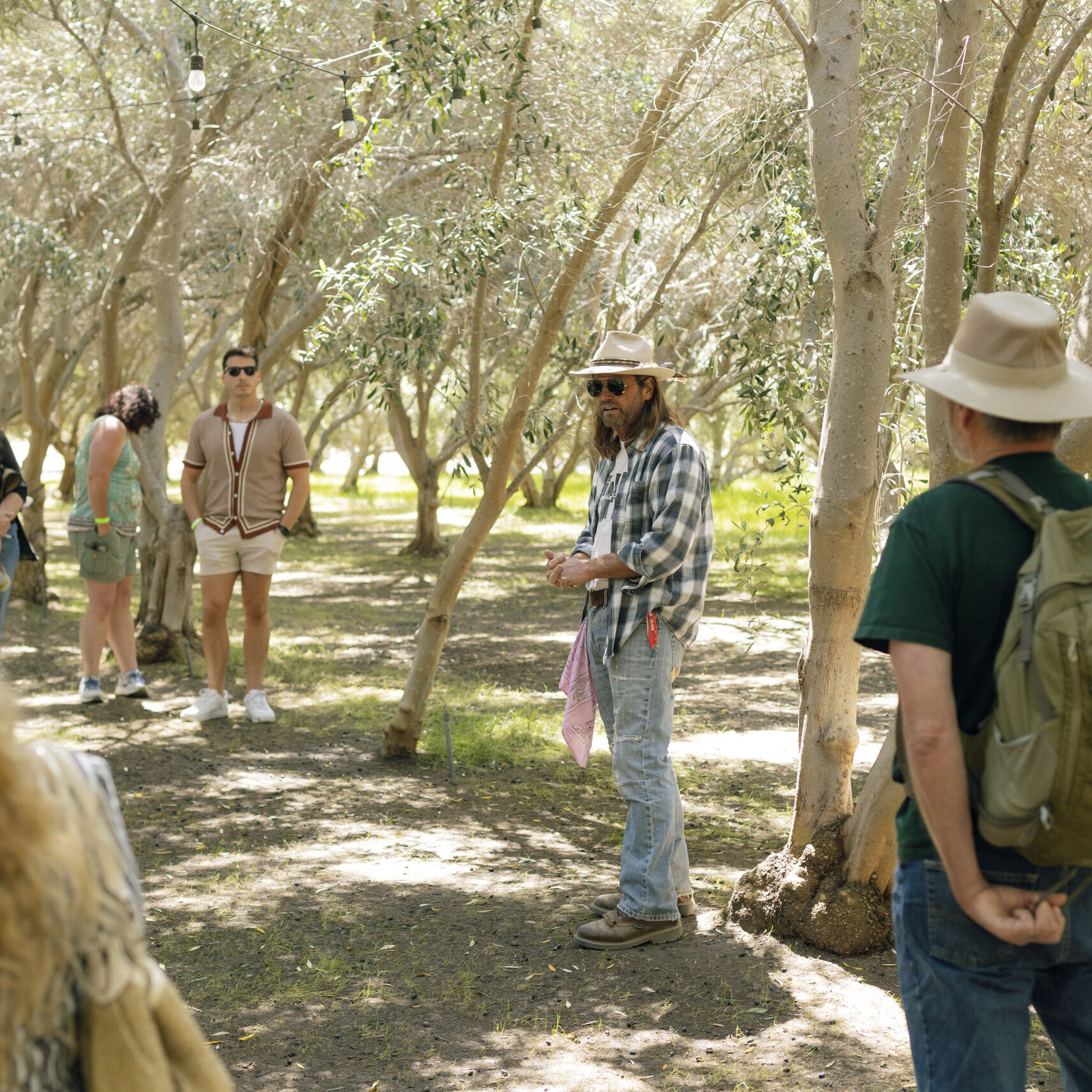 Guided Tours at OVR
