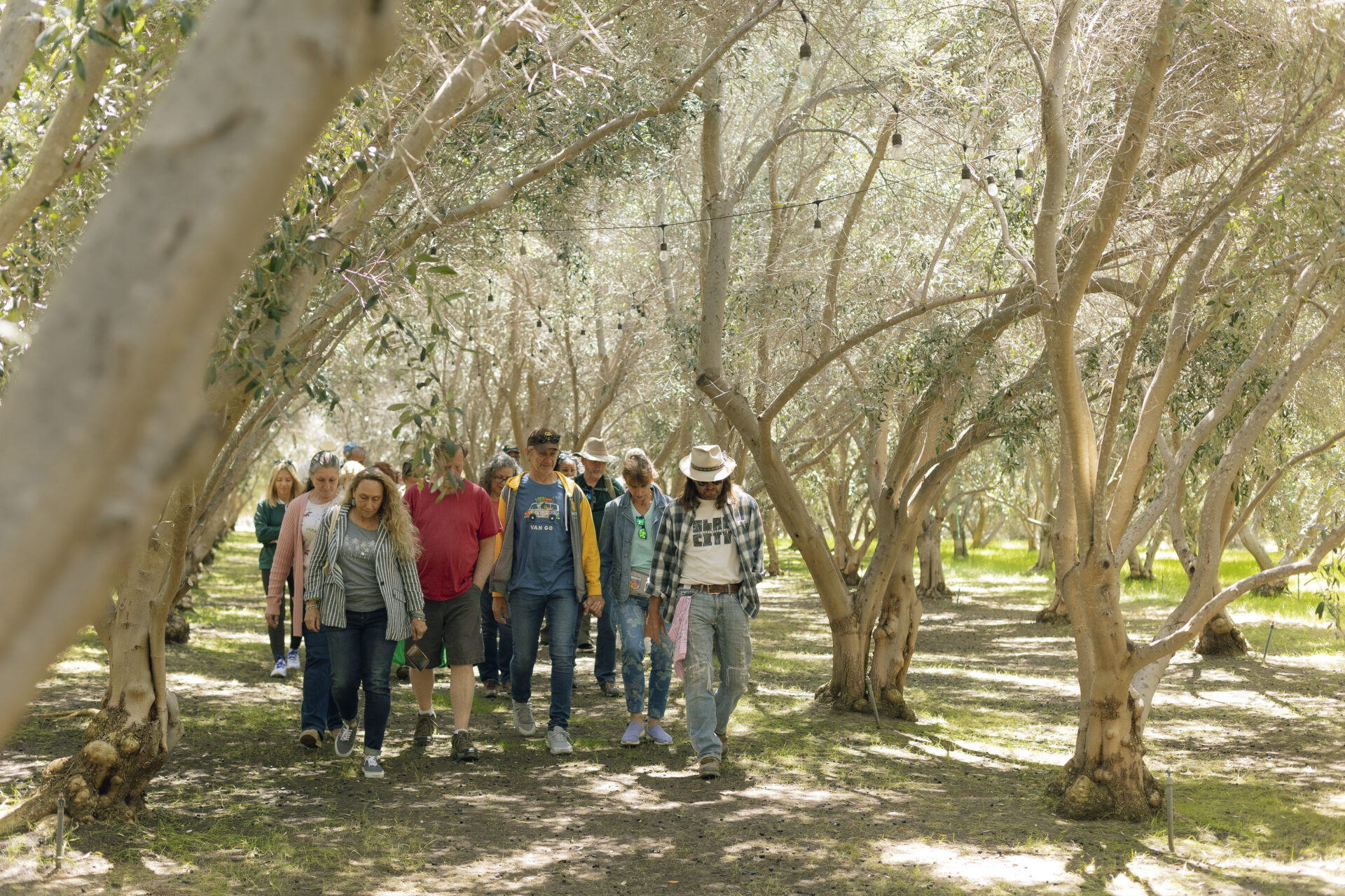 Guided OVR Tour