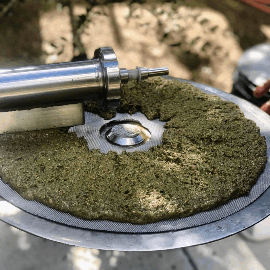 early harvest olive press early harvest olive press