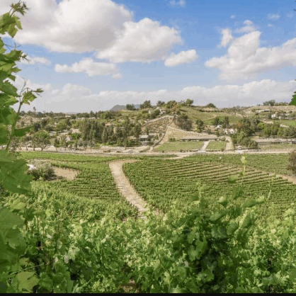 temecula valley temecula valley