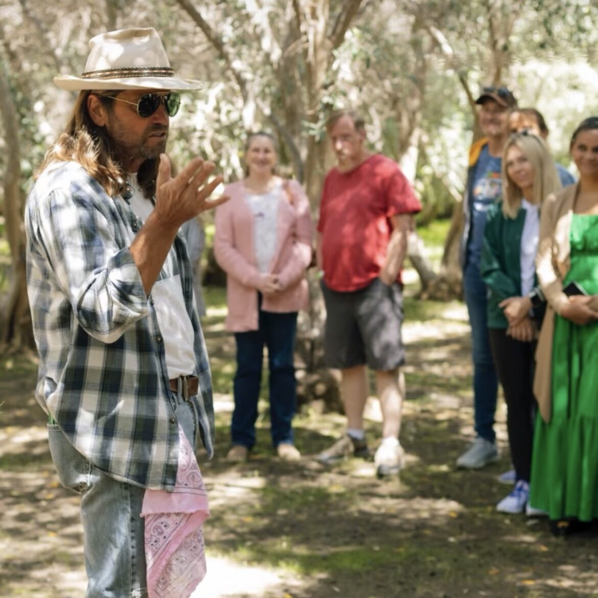 Guided Tours at OVR