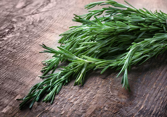 Fresh Rosemary